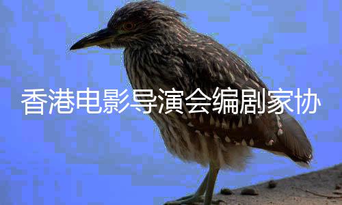 原电影导演香港协会剧家念楚会编告悼发公